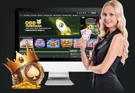 solo toto user Mobile user and Brand